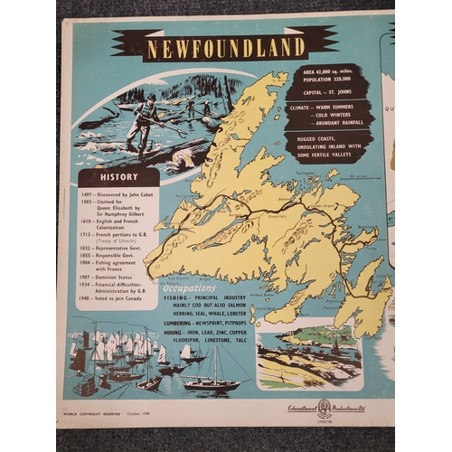 131 - Infograph Posters on card, Newfoundland. 1948