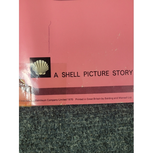 138 - Shell Poster. A Shell Picture Story. 1970. Caribbean Oil.
28.5 x 38 inches