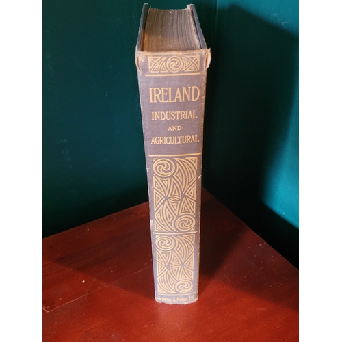 109 - Ireland Industrial and Agricultural. 1902. Published by Browne and Nolan Limited. First Edition. Loo... 