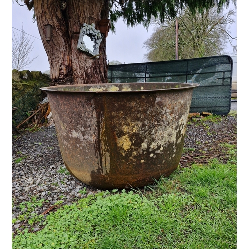 17 - Famine pot 5. Very large.  80cm H x 125cm diameter.