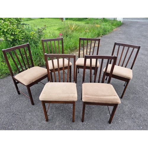 269 - 6 vintage  chairs. Neeson Brothers.