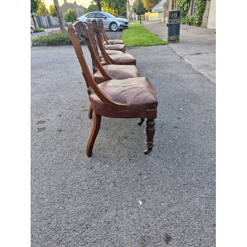 256 - Set of 6 priest chairs