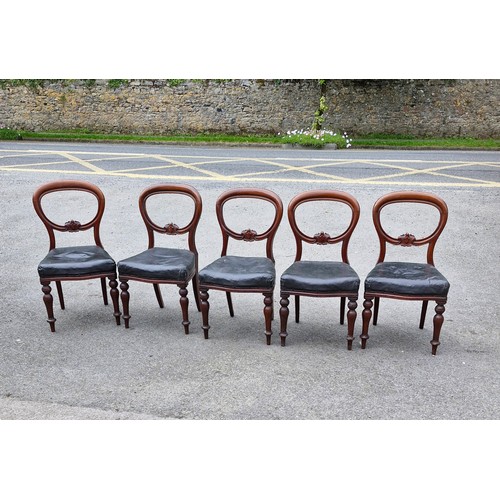 231 - 5 Victorian Balloon back dining chairs with a crested motif.
Stamped William Wood 12 King Street Sou... 