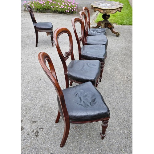 231 - 5 Victorian Balloon back dining chairs with a crested motif.
Stamped William Wood 12 King Street Sou... 