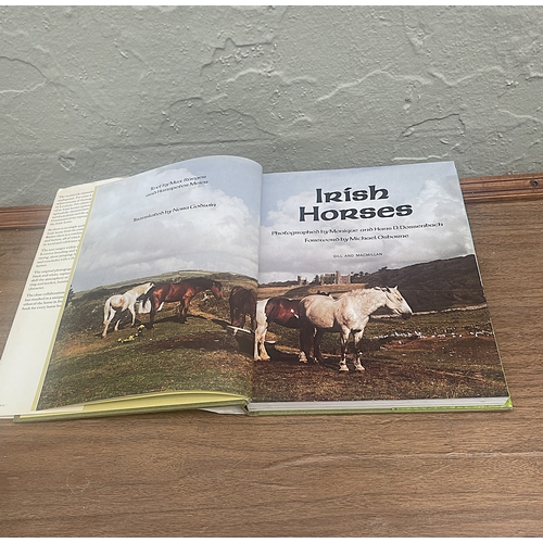 119 - Irish Horses 1977, Photographed by Monique and Hans D. Dossenbach, Publisher Hart-Davis MacGibbon Li... 