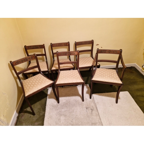 353 - 6 regency style dining chairs