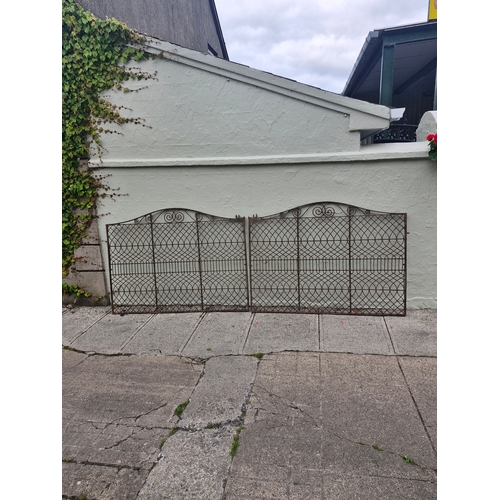 370 - A wrought iron and decorative gate pair. Nice patina...