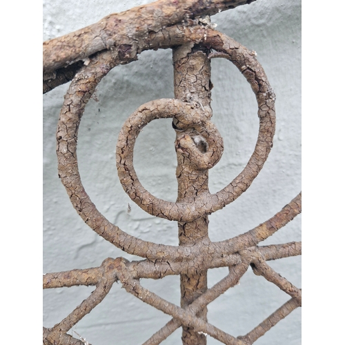 370 - A wrought iron and decorative gate pair. Nice patina...