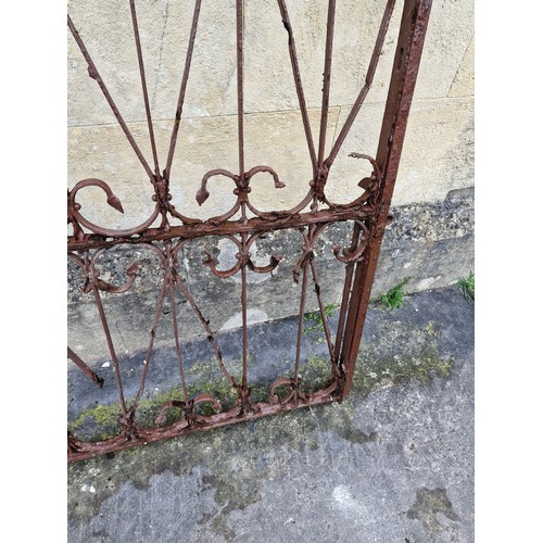 204 - X2 Early twentieth century wrought iron gates. 4.5ft x 4.5ft