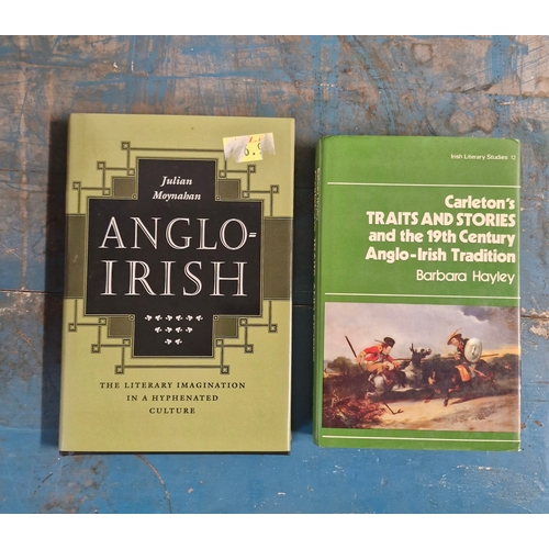 26 - Julian Moynahan, Anglo-Irish. 
THE LITERARY IMAGINATION  IN A  HYPHENATED  CULTURE . 1994 Princeton.... 