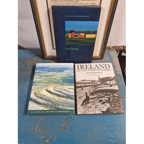 30 - Three Irish coffee table books