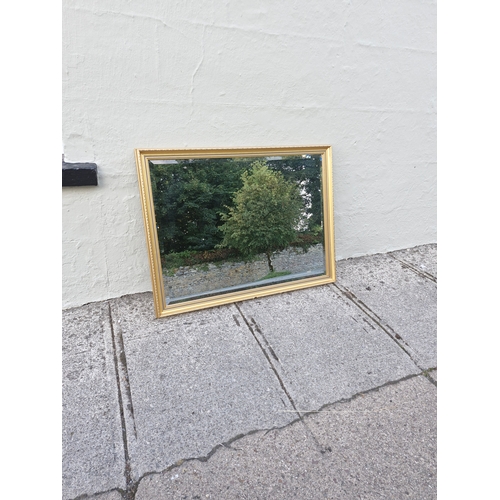 224 - Large contemporary mirror