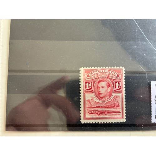 Lot 67        