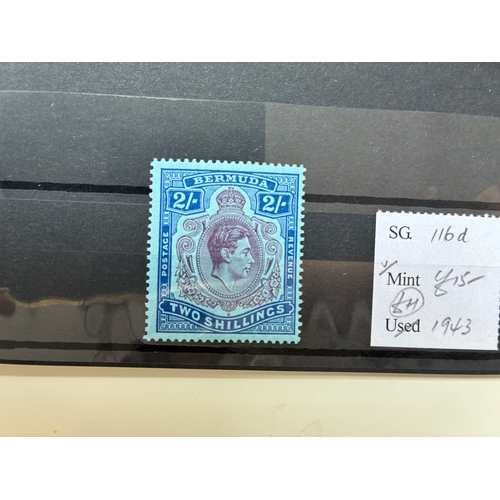 Lot 73        