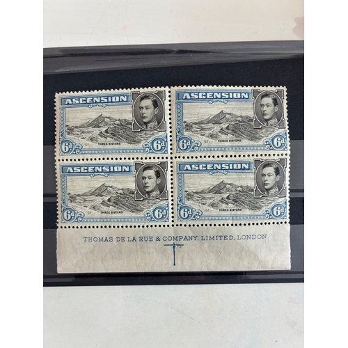 Lot 15        