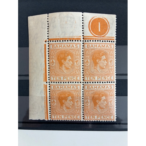 Lot 34        