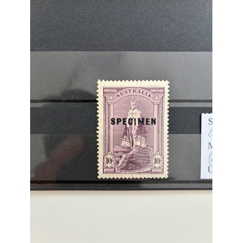 Lot 29        
