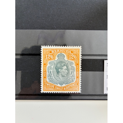Lot 59        
