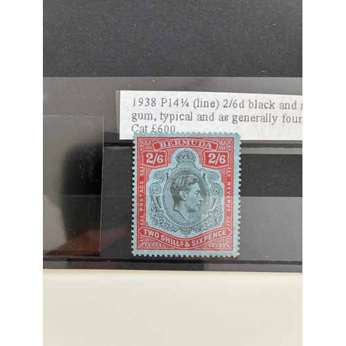 Lot 60        