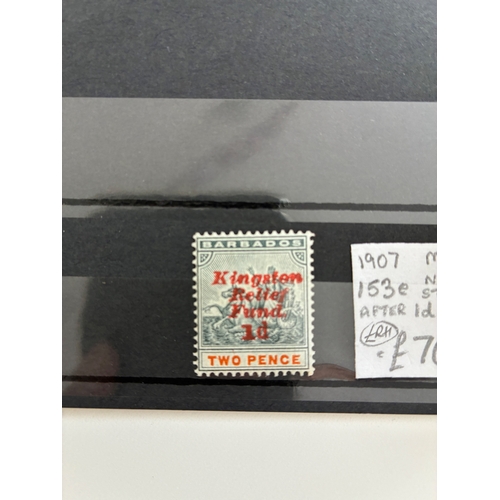 Lot 45        