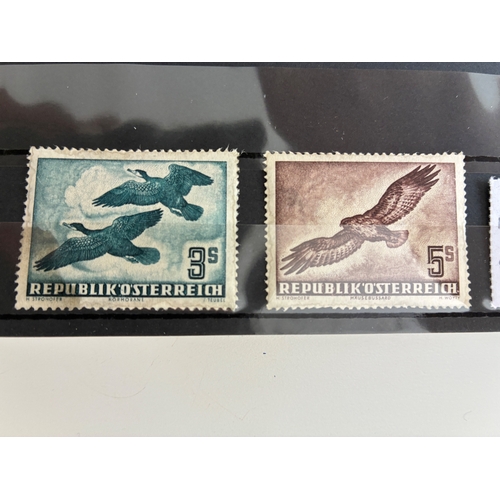 Lot 31        