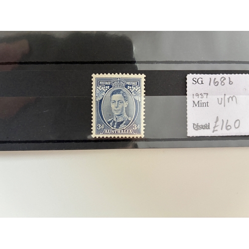 Lot 23        