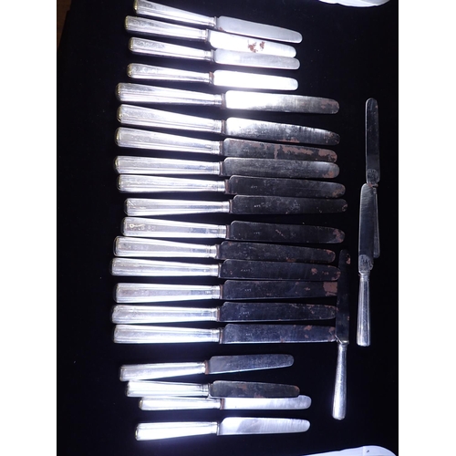 193 - A set of 12 silver handled dinner knifes, (5 Irish & 7 English) and a 11 silver handled dessert kniv... 
