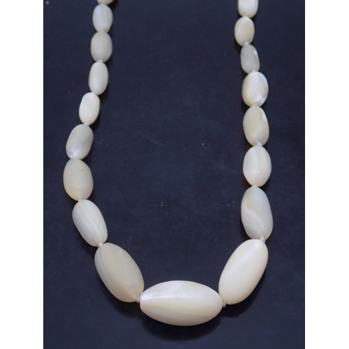 67 - A mother of pearl necklace