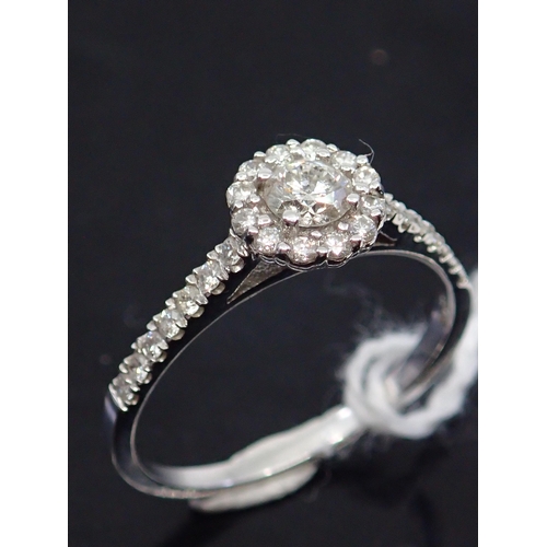 29 - A diamond cluster ring set in 14ct gold total estimated weight of diamonds 0.25cts finger size M hal... 