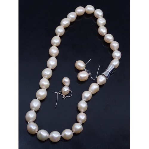 307 - A fresh water pearl necklace and earrings