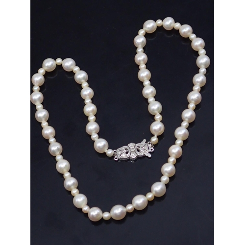 A pearl necklace set with a diamond clasp