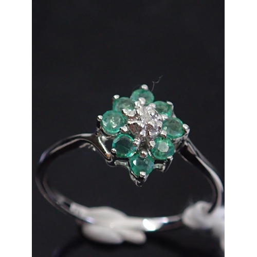 51 - A emerald cluster ring, showing as finger size  N