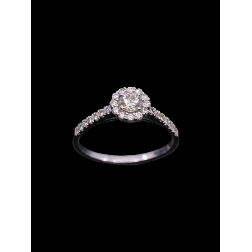 12 - A diamond halo ring set in 14ct gold, estimated weight of diamonds 0.30cts showing as finger size  M