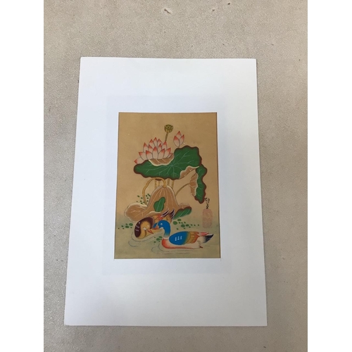 20 - Two pith prints - a tiger and a duck also with two water colours and hand coloured prints