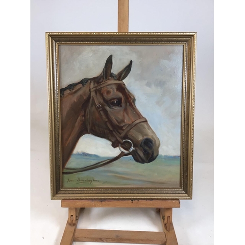 15 - Framed original acrylic on board horse portrait. Signed Joan Barrington to corner. Good condition.... 