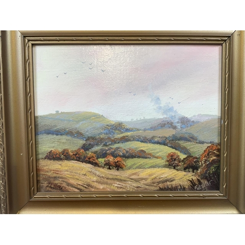 20 - Two 20th century oils on board. One signed Futcher of Old Winchester Hill and the other initialled V... 