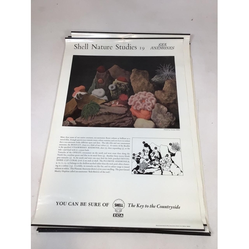 43 - Shell Nature Studies vintage mid century Educational wildlife posters, printed by Henry Stone & Son.... 
