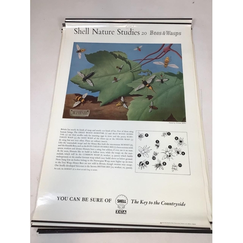 43 - Shell Nature Studies vintage mid century Educational wildlife posters, printed by Henry Stone & Son.... 