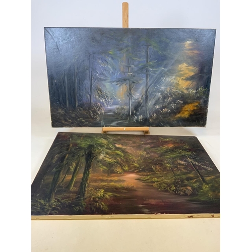 49 - Two large oils on canvas of mystical woodland scenes. Unsigned. W:92cm x H:64cm