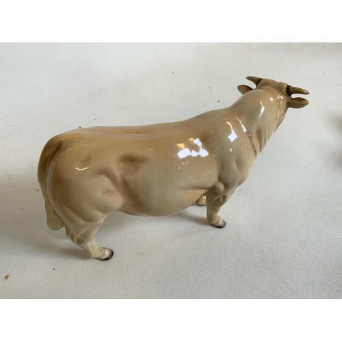 55 - a Beswick Charolais Bull in gloss finish. Beswick England stamped to both front hooves H:13cm