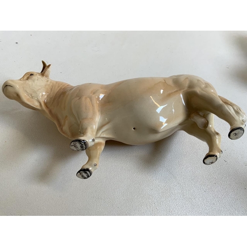 55 - a Beswick Charolais Bull in gloss finish. Beswick England stamped to both front hooves H:13cm