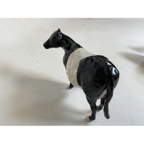 59 - Beswick. A Belted Galloway cow with pink nose and udder> stamped Beswick to underbelly Also with ori... 