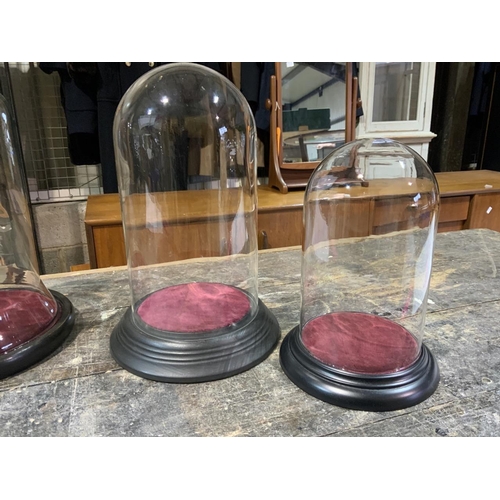 Five glass domes with bases. Tallest dome H 29cm