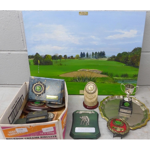 1110 - A collection of golf trophies and a Maywood Seniors picture**PLEASE NOTE THIS LOT IS NOT ELIGIBLE FO... 