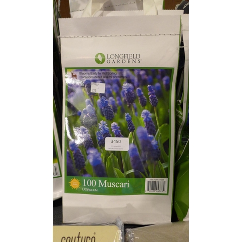 3450 - Five packs of autumn bulb assortments