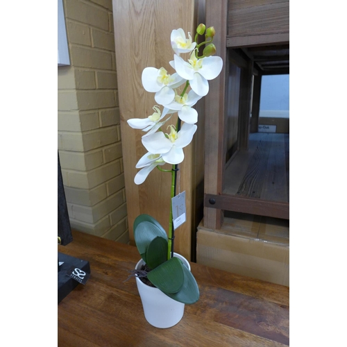 1420 - An artificial single moth orchid (54837907)   #