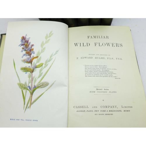 673 - Seven volumes, Familiar Wild Flowers, F Edward Hulme, published by Cassel & Company