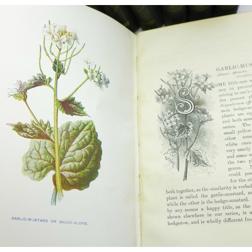 673 - Seven volumes, Familiar Wild Flowers, F Edward Hulme, published by Cassel & Company