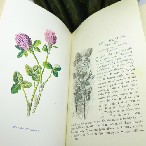 673 - Seven volumes, Familiar Wild Flowers, F Edward Hulme, published by Cassel & Company