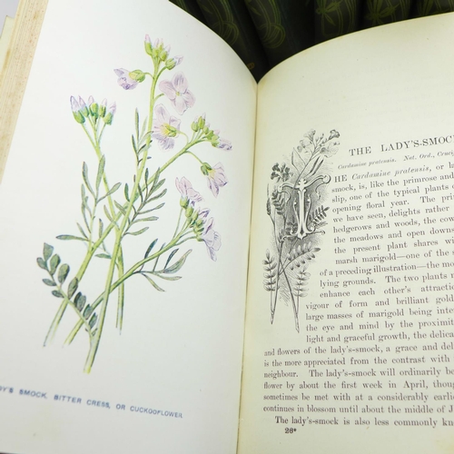 673 - Seven volumes, Familiar Wild Flowers, F Edward Hulme, published by Cassel & Company